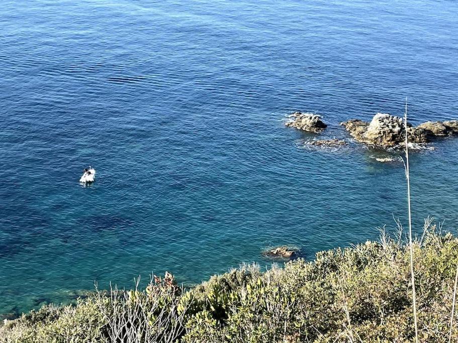 Ferienwohnung La Casina A Piombino Exterior foto